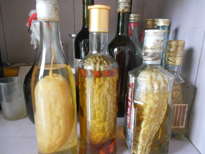 苦瓜保健酒(整瓜装瓶)的加工制作技术[视频]