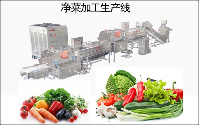介绍三种菇类的批量加工方法