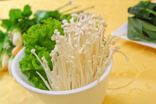 几种常规食用菌的栽培管理技术要点