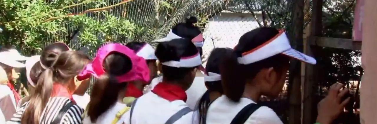 养七彩山鸡+亲子游戏活动年营收800多万