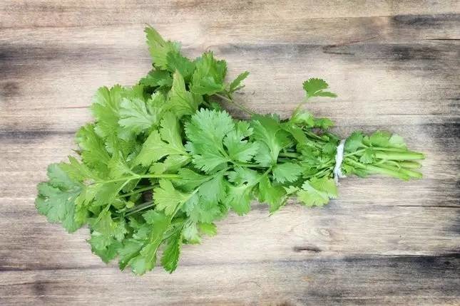 推荐几种易种易管的阳台蔬菜品种