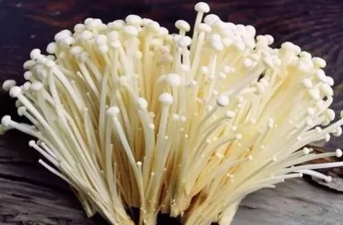(食用菌专题)金针菇早开伞的原因解析