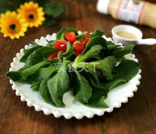 凉拌菜:凉拌冰草的厨房做法