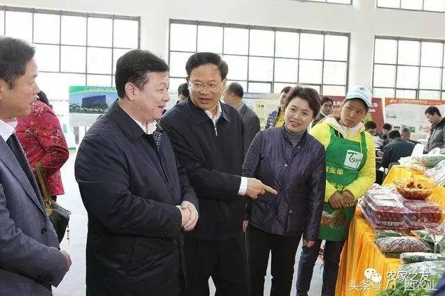 解读2017年广西农业招商引资活动五大关键词