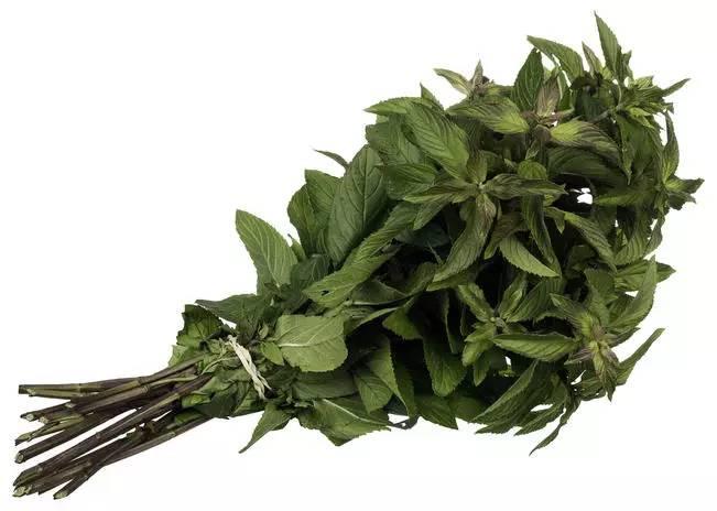 图文:薄荷品种及美味菜谱！