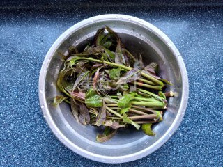 凉拌菜:香椿贝尖拌莴笋的厨房做法