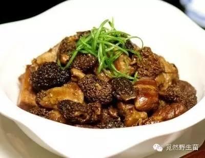 精选羊肚菌菜谱大全