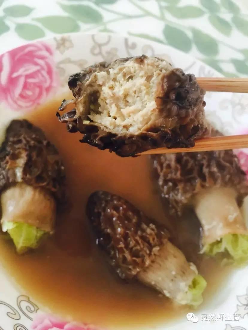 精选羊肚菌菜谱大全