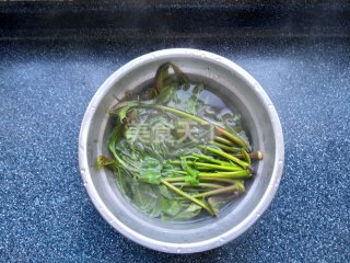 凉拌菜:香椿贝尖拌莴笋的厨房做法