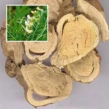 未来几年前景看好的中草药种植项目