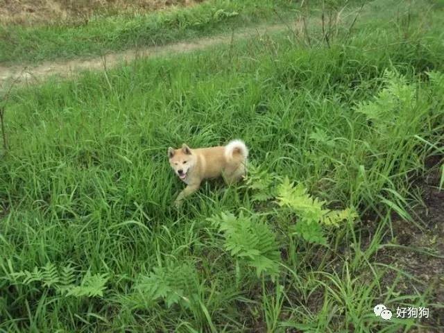 什么是你童年乡村记忆中印象最深的情景？