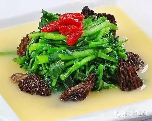 精选羊肚菌菜谱大全