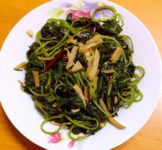 好吃好养好看的红薯叶！